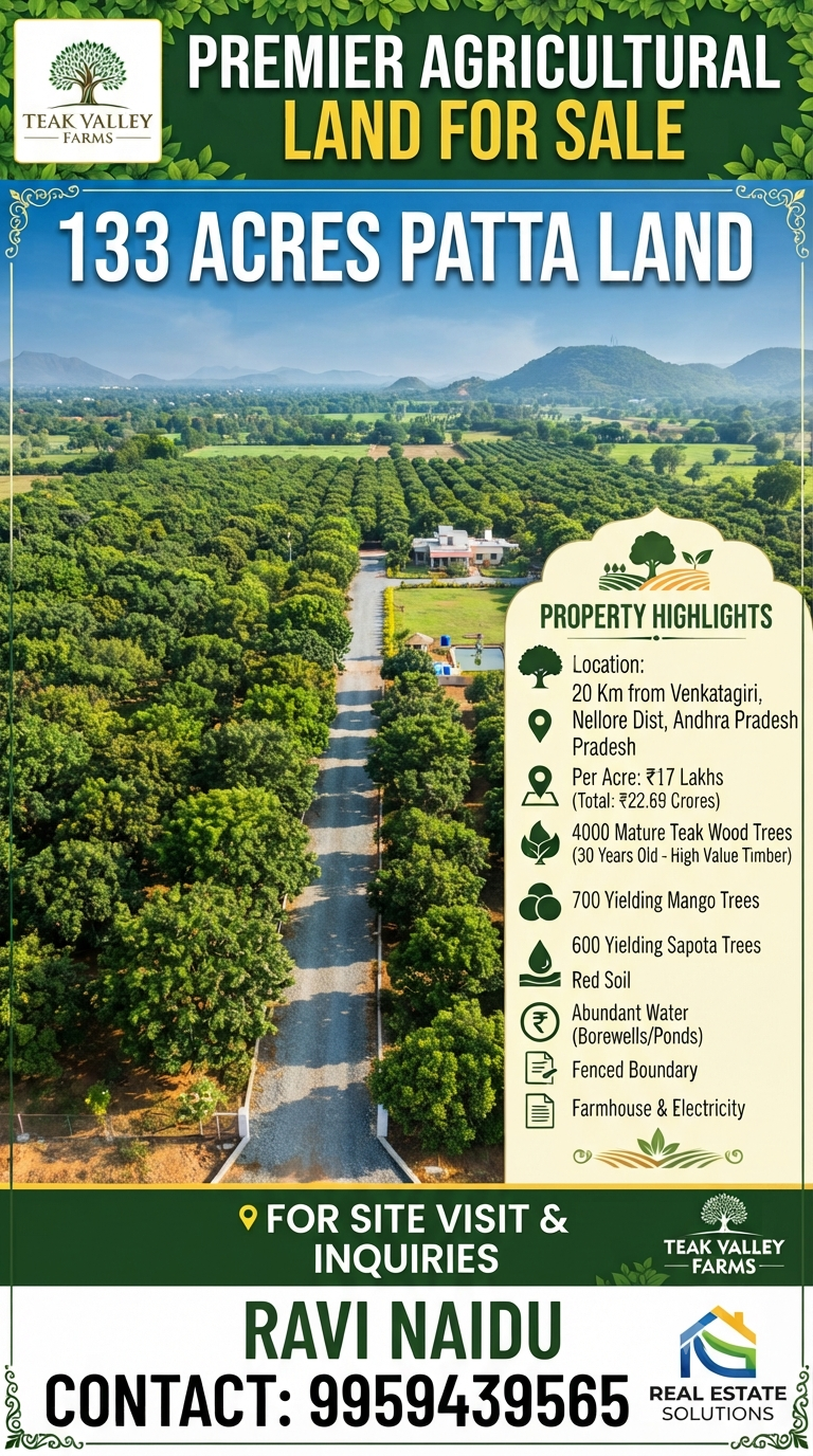 Residential plot in Nellore Venkatagiri, Amaravathi